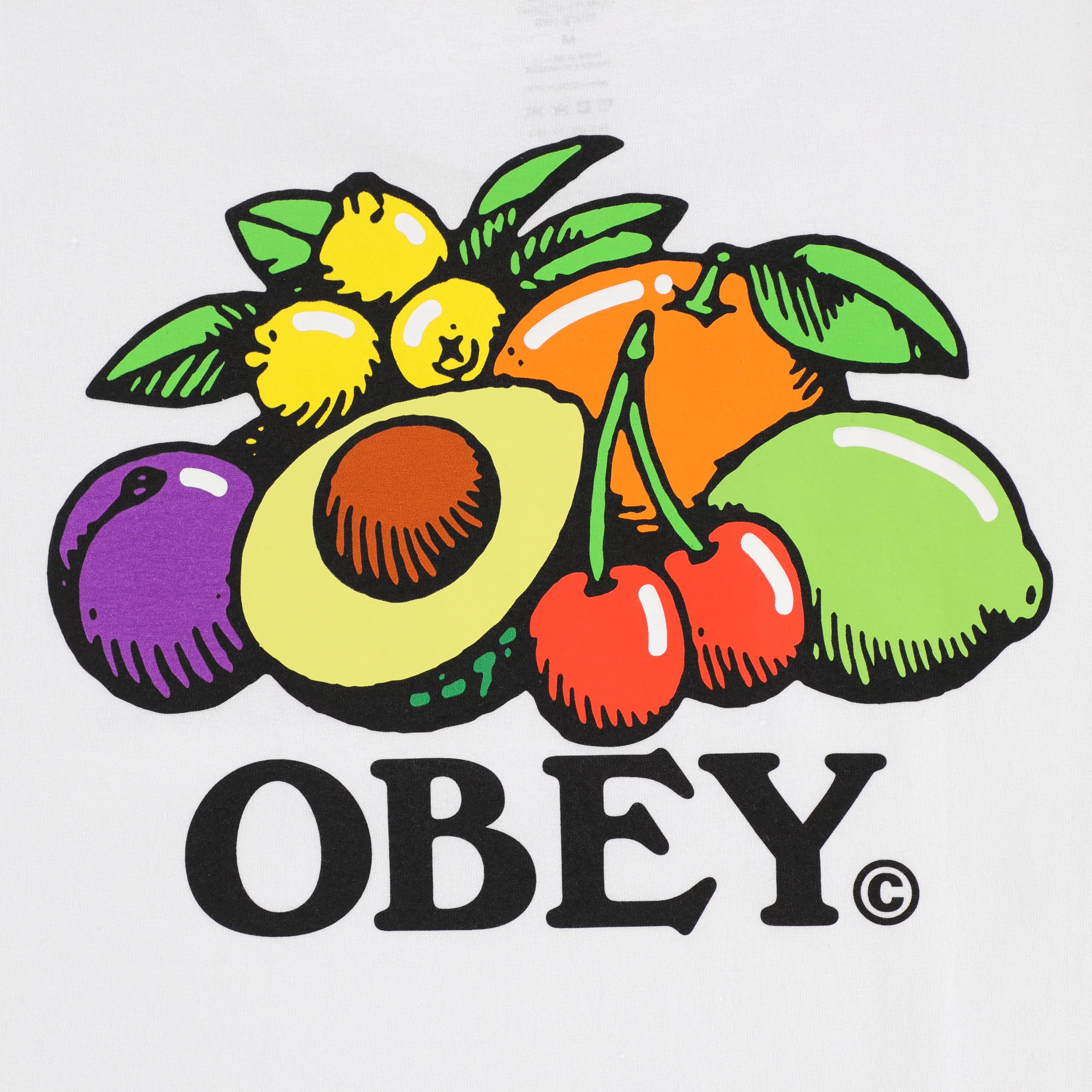 Obey Bowl Of Fruit T-Shirt - white | Tactics