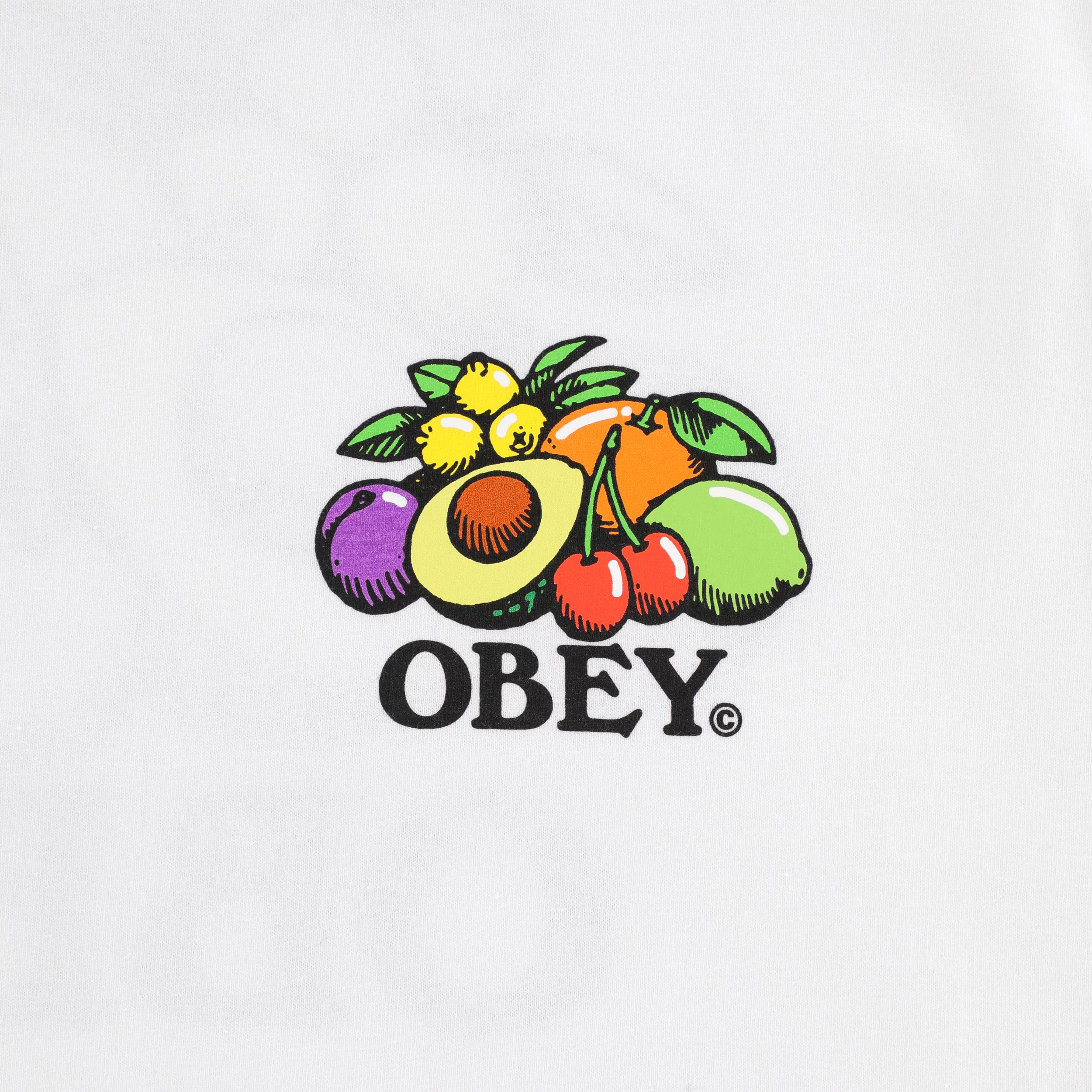 Obey Bowl Of Fruit T-Shirt - white | Tactics