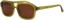 I-Sea Royal Sunglasses - olive/brown polarized lens