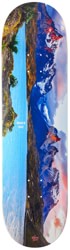 The Killing Floor Gray Patagonia 8.6 Skateboard Deck