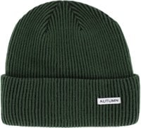 Autumn Cord Beanie - evergreen black