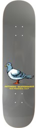 Anti-Hero Team Pigeon 8.25 Short Shape Skateboard Deck