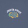 Santa Cruz Dressen Rose Solo T-Shirt - steel blue - front detail