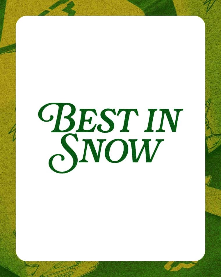 Best in Snow category image