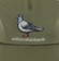 Anti-Hero Lil Pigeon Snapback Hat - safari green - front detail