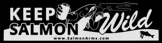 Salmon Arms Bumper Sticker - keep salmon wild (black) - view large