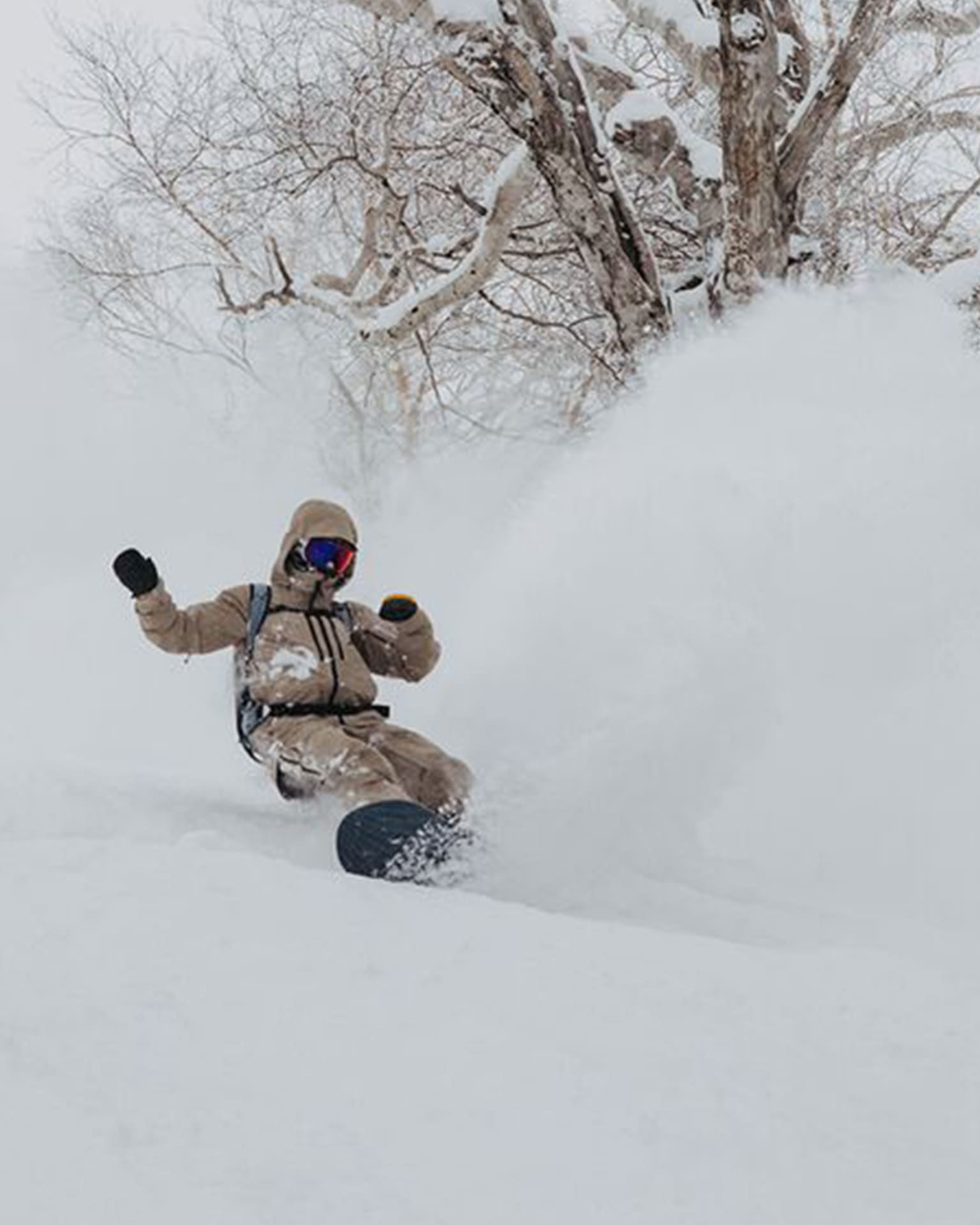 powder snowboards category image