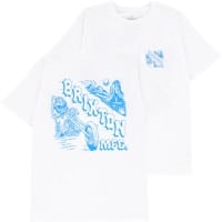 Brixton Pasco T-Shirt - white