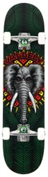 Powell Peralta Vallely Elephant Birch 7.5 Complete Skateboard - green
