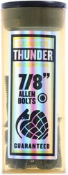 Thunder Allen Thunder Bolts Skateboard Hardware - black/gold